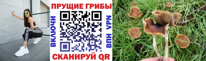 Галлюциногенные грибы GOLDEN TEACHER  Купить закладки  Артёмовский 