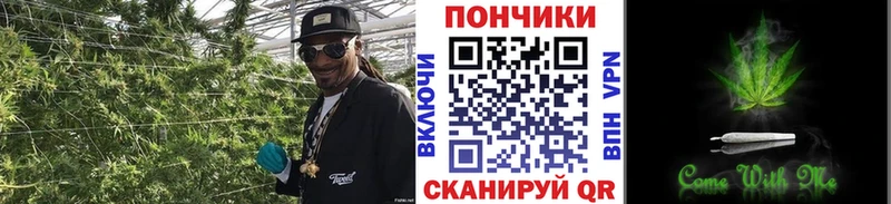 Купить где  Артёмовский  МАРИХУАНА ГИДРОПОН 